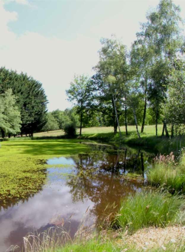 Domaine Des Grandes Landes Villa Saint-Paul-la-Roche Buitenkant foto